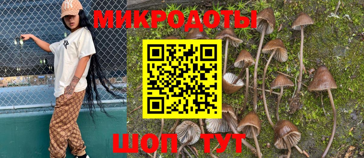 Псилоцибиновые грибы мухоморы Великий Новгород